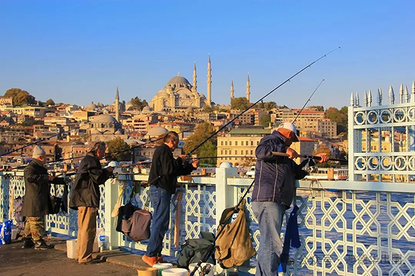 1762508590198787.png 12.webp.png