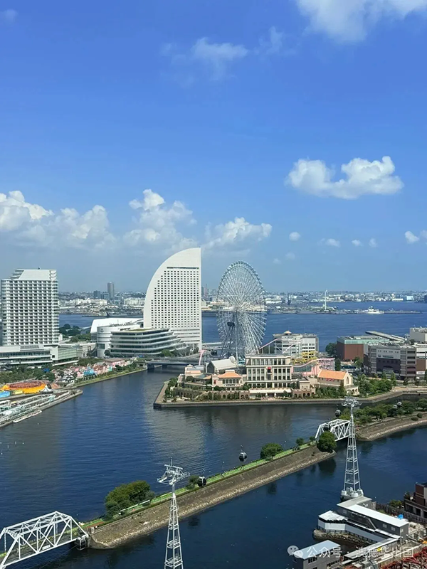 1762852272326159.png 7.webp.png