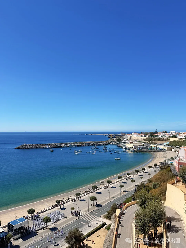 1769586468548604.png 5.webp.png