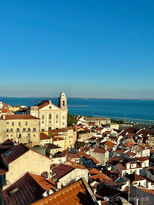 1769587892136624.png 11.webp.png