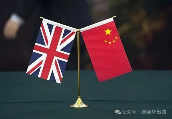 1770014312486104.png 6.webp.png