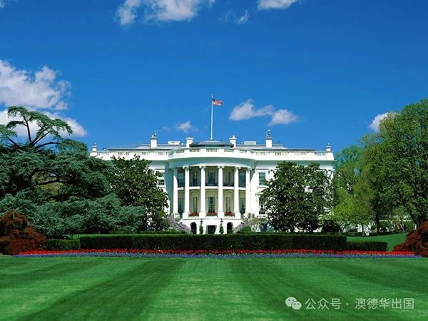 1770015074710215.png 4.webp.png