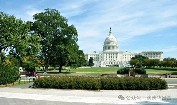 1776066850901740.png 5.webp.png