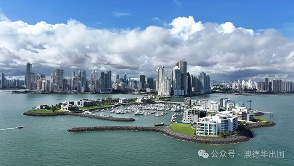 1765444595795856.png 4.webp.png