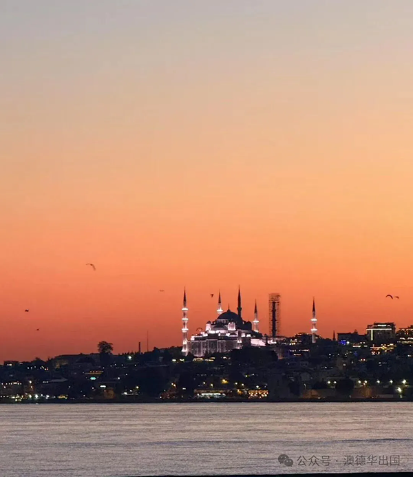 1772176661686553.png 4.webp.png